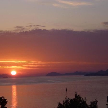 Apartments Red Coral Cavtat Esterno foto